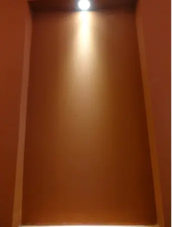 P 19 1